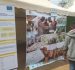RAPPORT FOIRE NATIONALE AGRICOLE ET FORUM NATIONAL PAYSAN AU BURUNDI, EDITION 2025